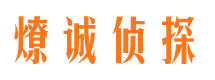 鹿泉市场调查